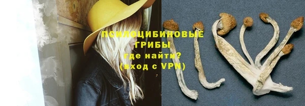 дмт Арсеньев
