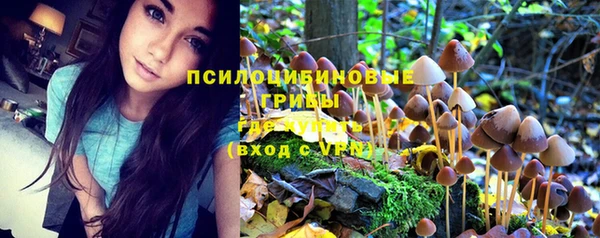 спиды Армянск